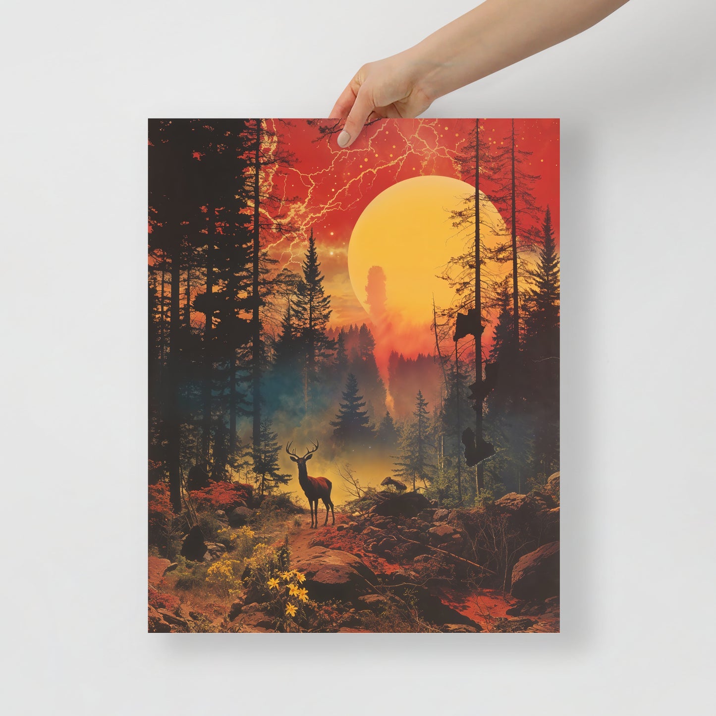 Tanana / Valley - 02