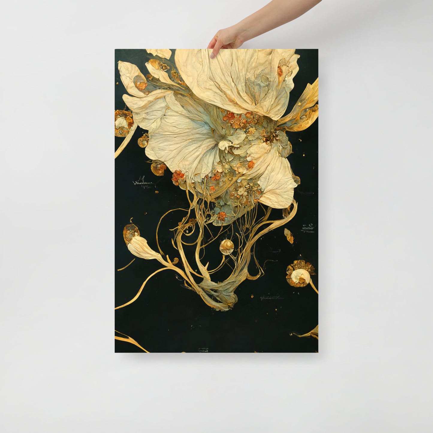 Cnidaria / Flora - 01